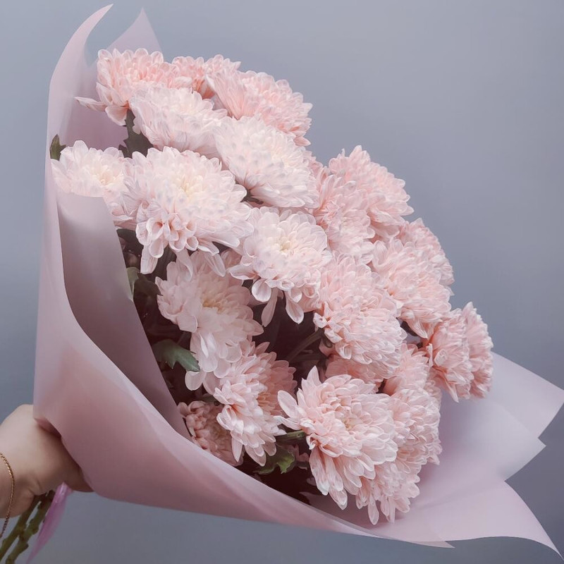 Букет из 5 розовых хризантем кустовых в дизайнерском оформлении 50 см, стандартный