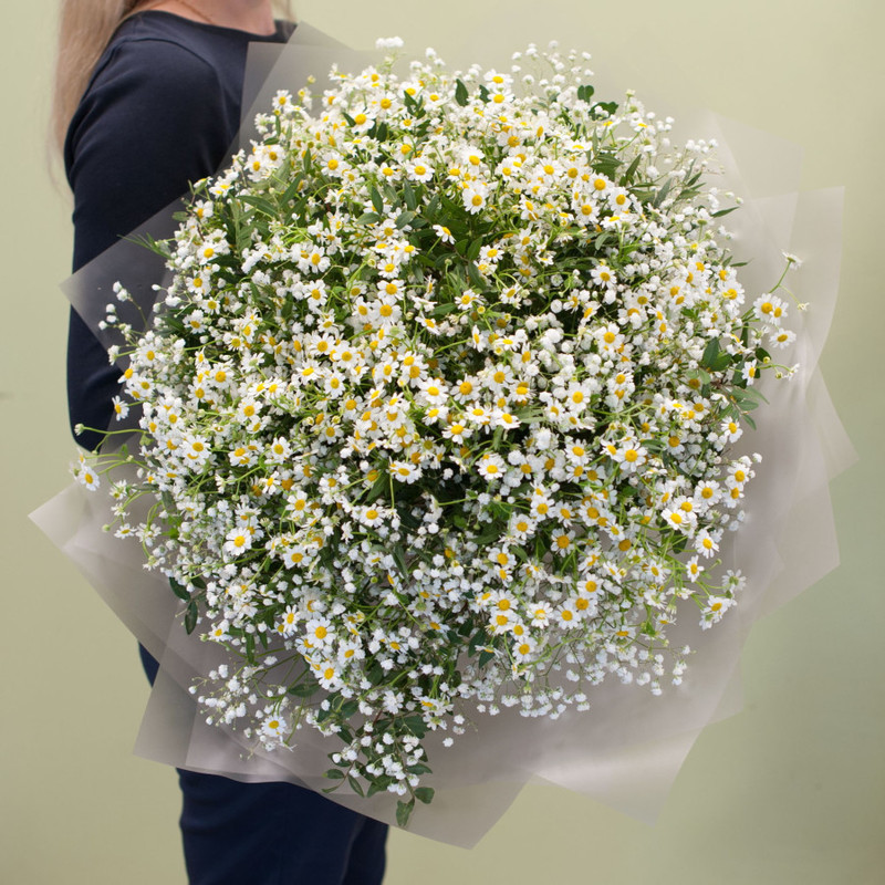 Bouquet of flowers "Chamomile skies", standart