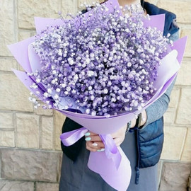 Bouquet with gypsophila "Violet"