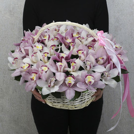 Себеттегі 51 ақ және қызғылт орхидеялар