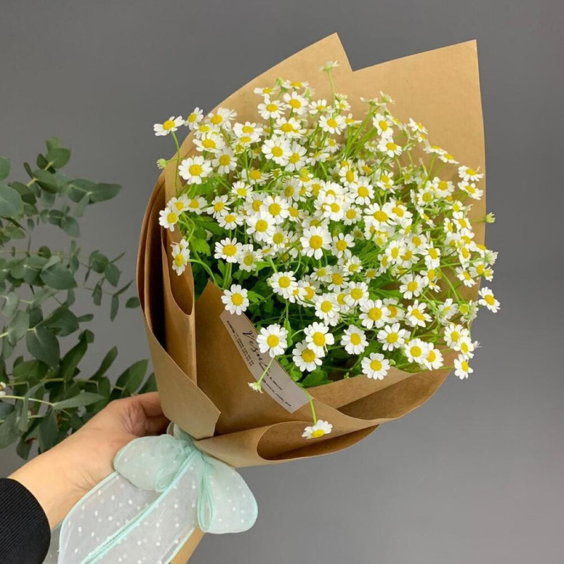 Field daisies in designer craft size S, standart