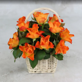 15 orange roses 40 cm in a basket