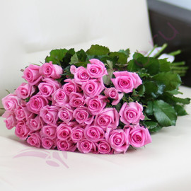 35 pink roses Revival 60 cm
