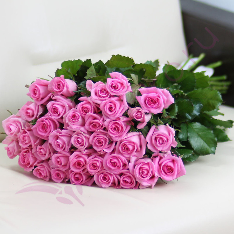 35 розовых роз Ревиваль 60 см, стандартный