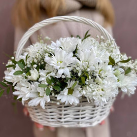 Basket with daisies and gypsophila