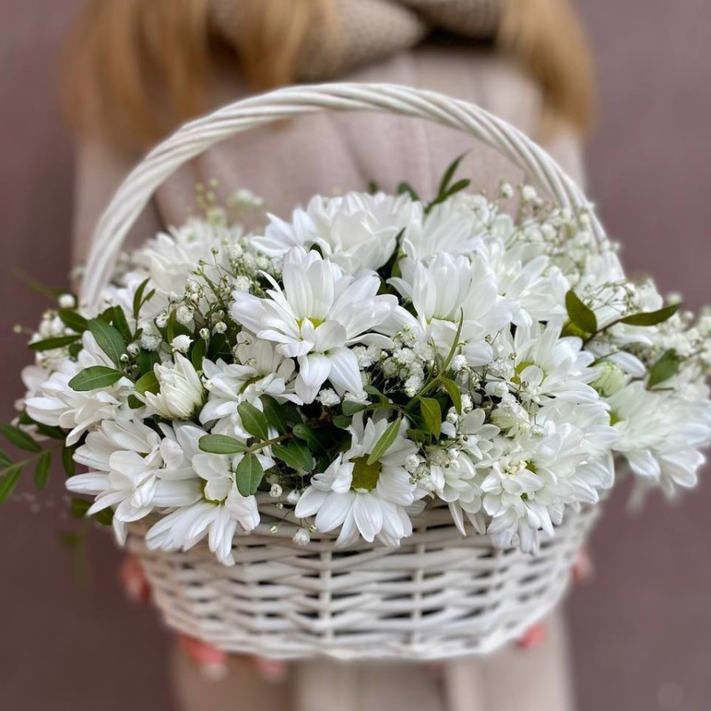 Basket with daisies and gypsophila, standart