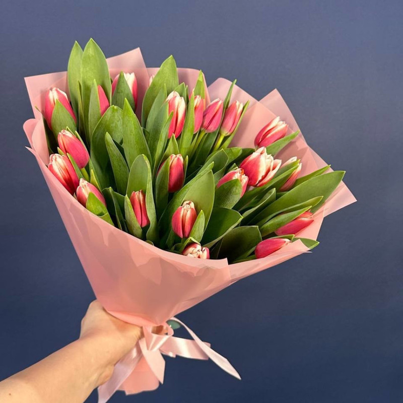 Bouquet of 25 pink and white tulips in a package, standart
