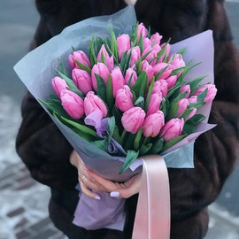 25 pink tulips