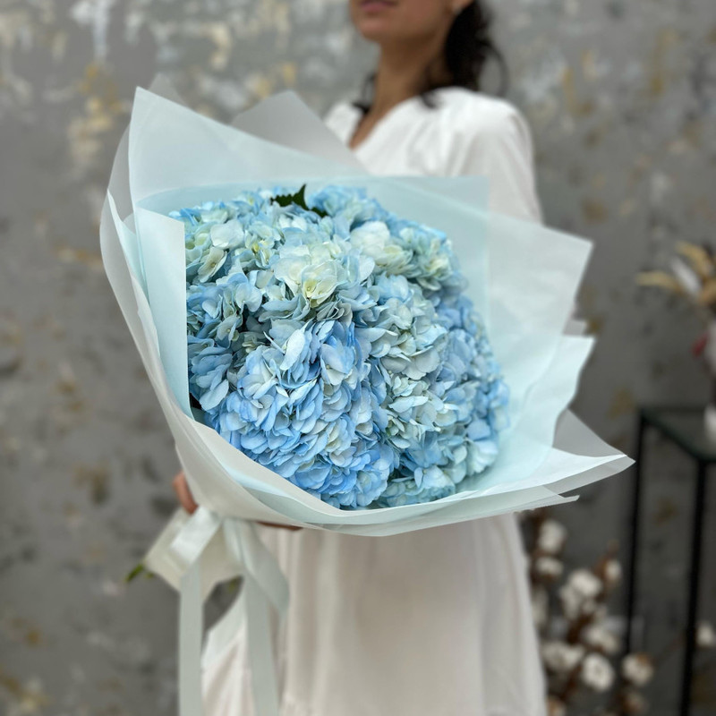 Bouquet “Heaven” of hydrangea, standart