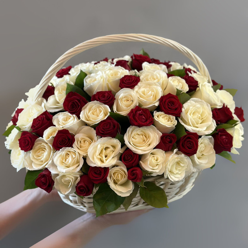 Basket of 101 red and white roses, standart