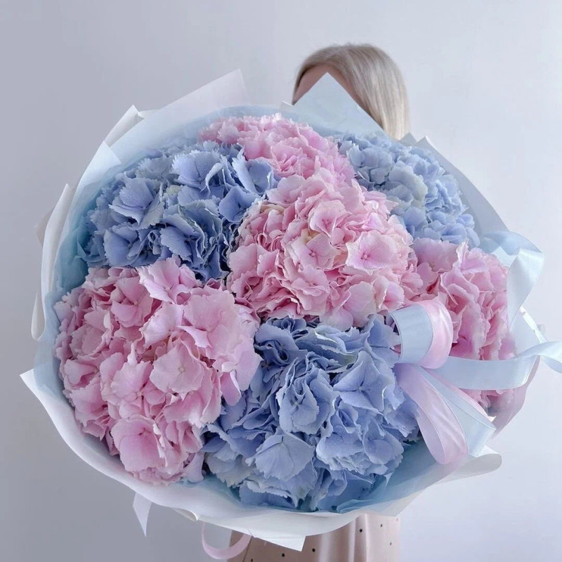 Bouquet of colored Dutch hydrangeas 7 pcs, bouquet of pink and blue hydrangeas, standart
