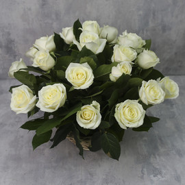 Корзина из 25 роз «Белые розы Аваланч с зеленью»