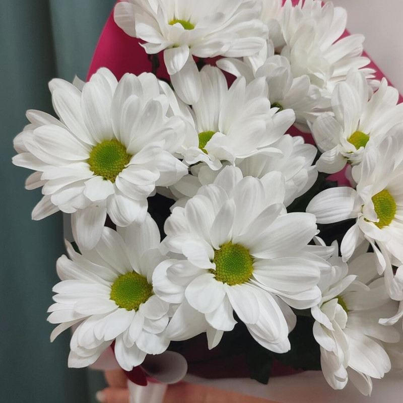 Bouquet of 3 white spray chrysanthemums in designer decoration 50 cm, standart