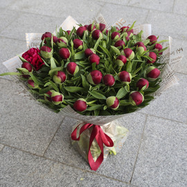 51 red peony in a designer package