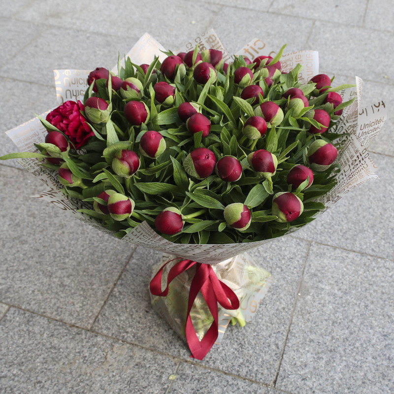 51 red peony in a designer package, standart