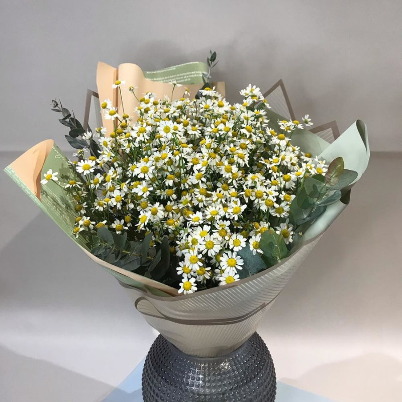 Bouquet of daisies, standart