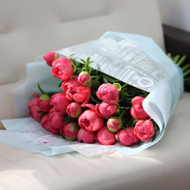 Bouquet "25 coral peonies in designer packaging"