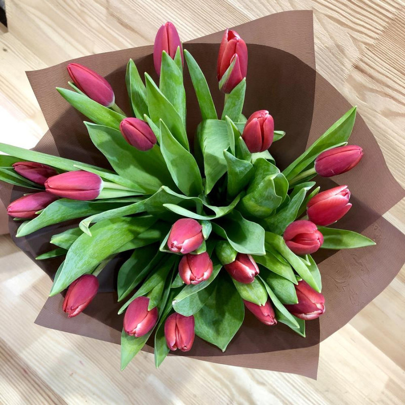 19 red tulips, standart