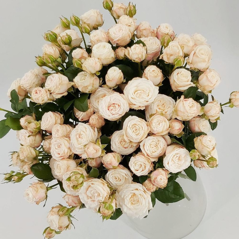 19 пионовидных кустовых роз Бомбастик, стандартный