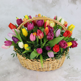 51 colorful tulips in a basket
