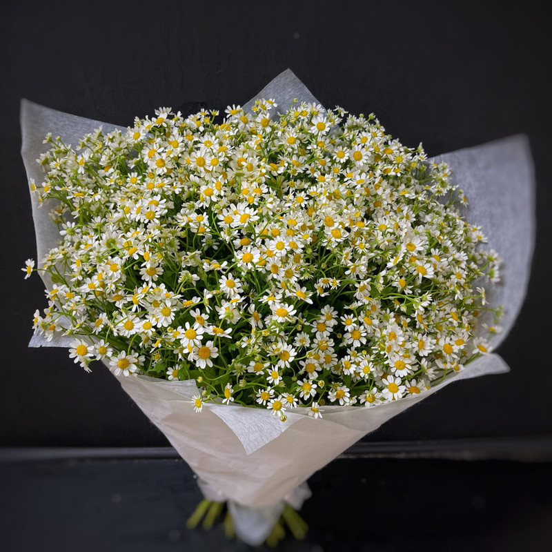 Bouquet of 35 daisies in a package (code 21), standart