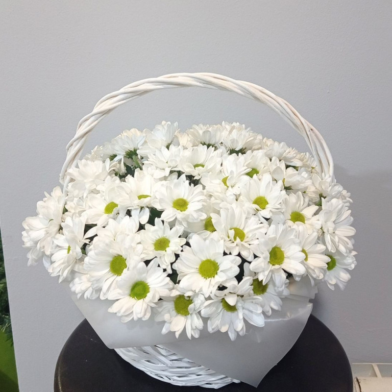 Mono of chrysanthemums in a basket, standart