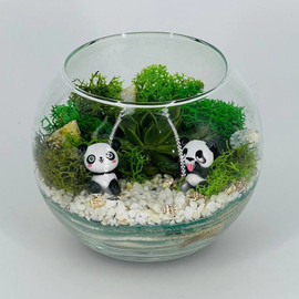 Florarium with pandas