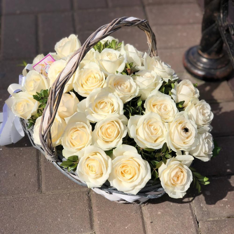 Basket of white roses, standart