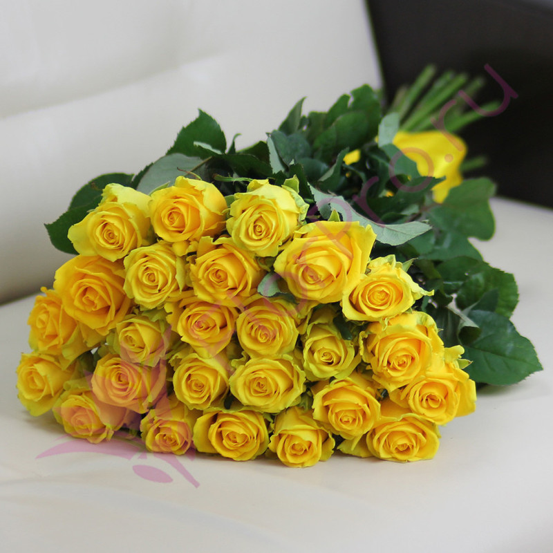 25 желтых роз Пени Лейн 60 см, стандартный