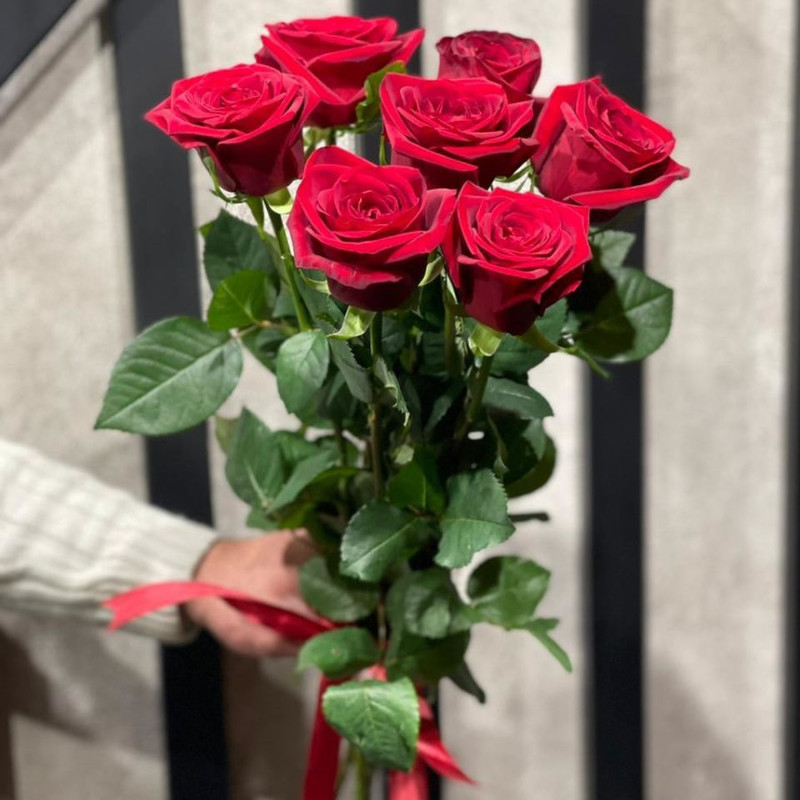 7 red roses., standart