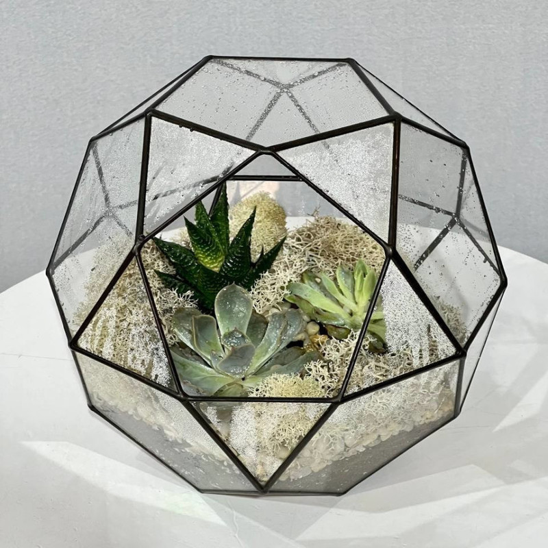 Большой флорариум шар геометрический с суккулентами, стандартный