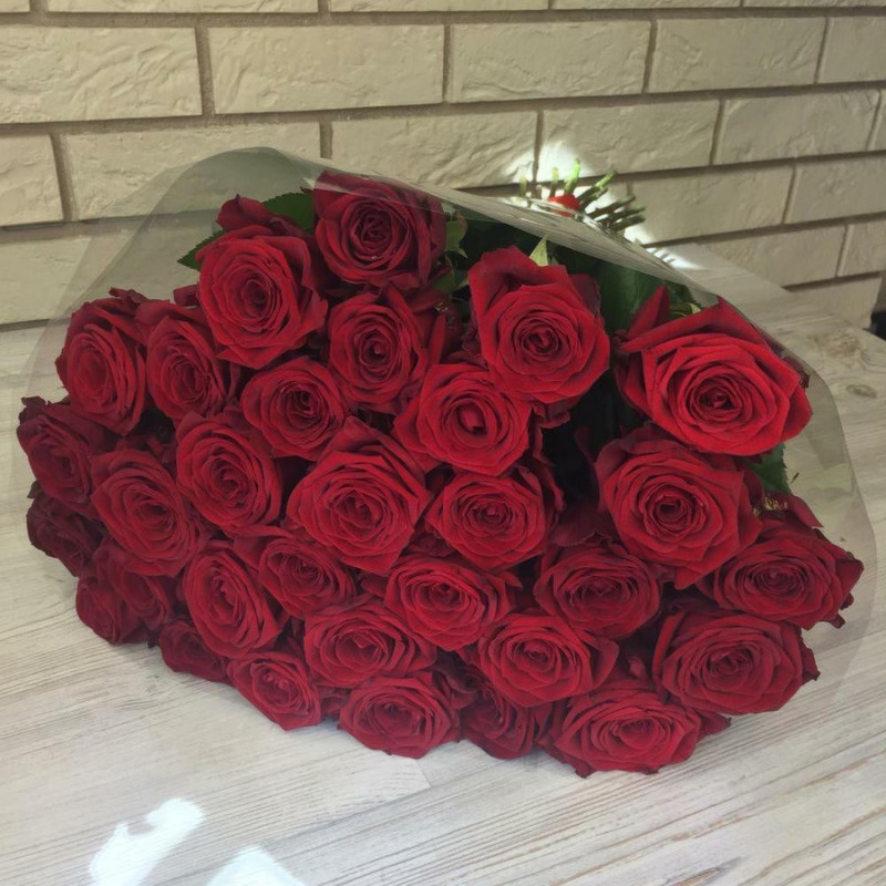 31 red rose, standart