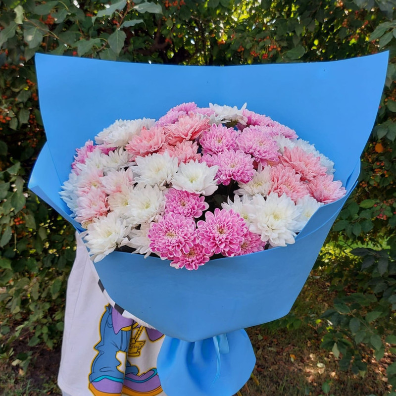 Bouquet of 15 Bush chrysanthemums, standart