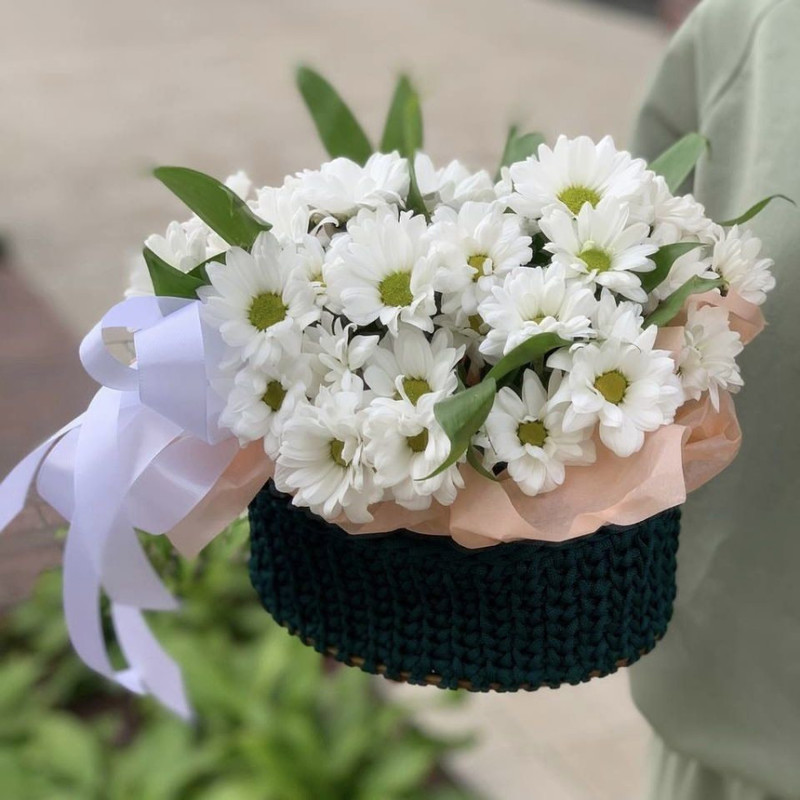 White daisies in a knitted flowerpot, standart