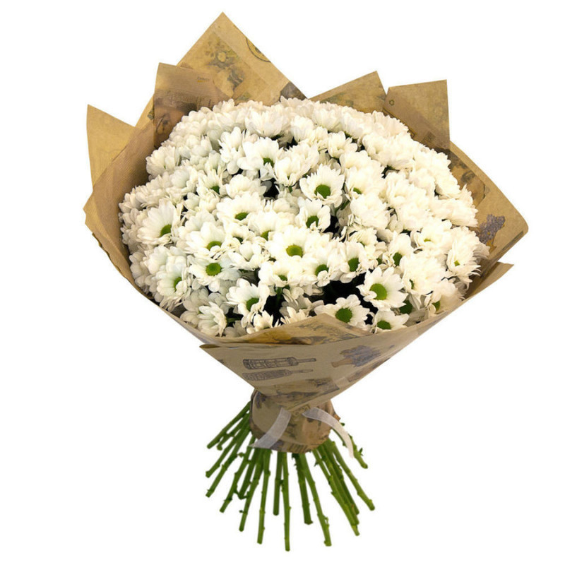 Bouquet of white chrysanthemums, standart