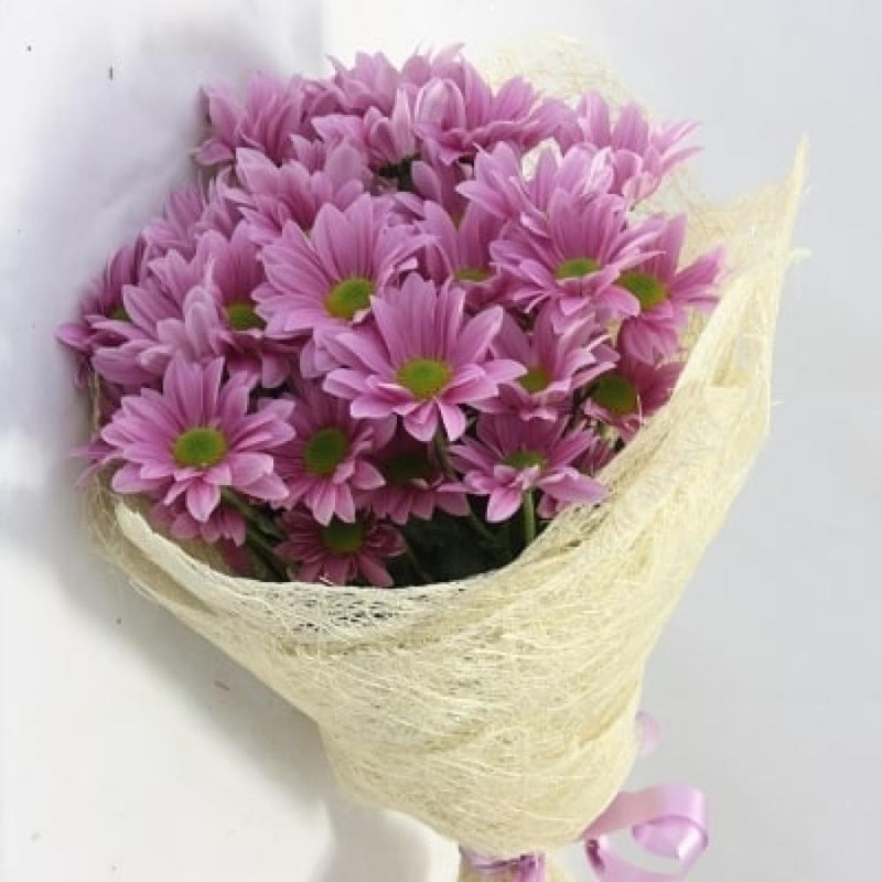 Bouquet of 7 pink chrysanthemums, standart