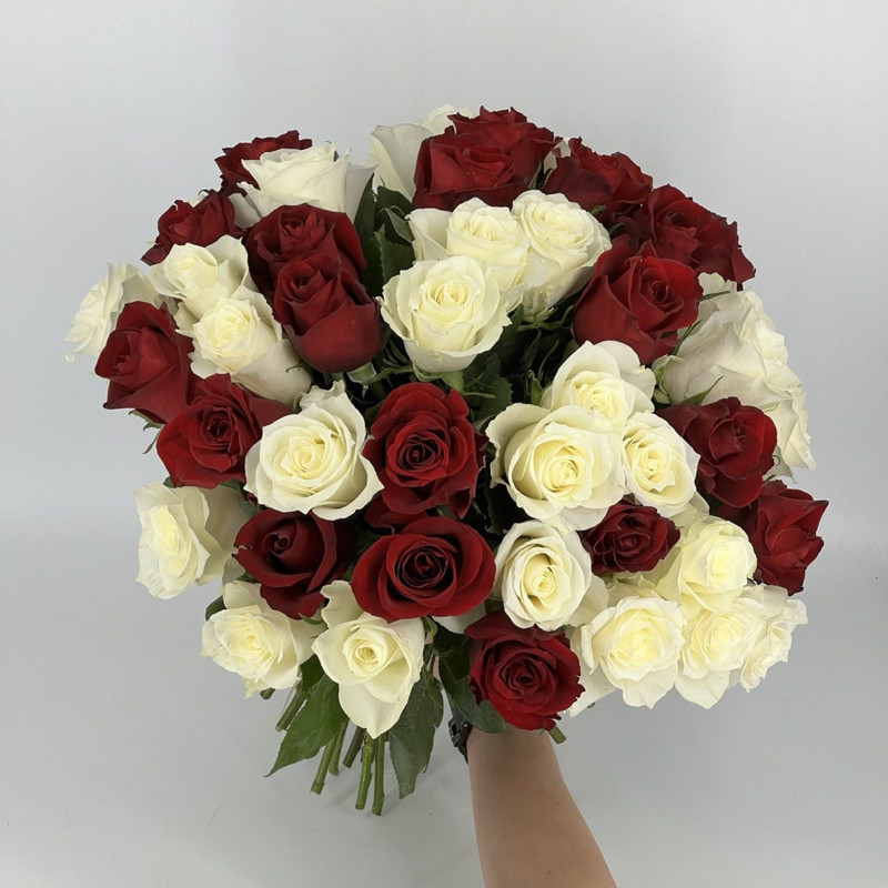 Бело-красные розы 51 шт Кения 40 см, стандартный