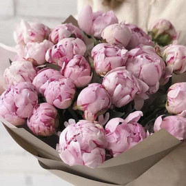 Large bouquet of peonies