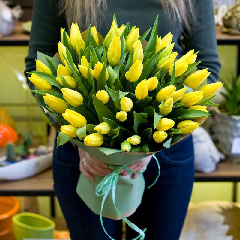 Yellow tulips, standart