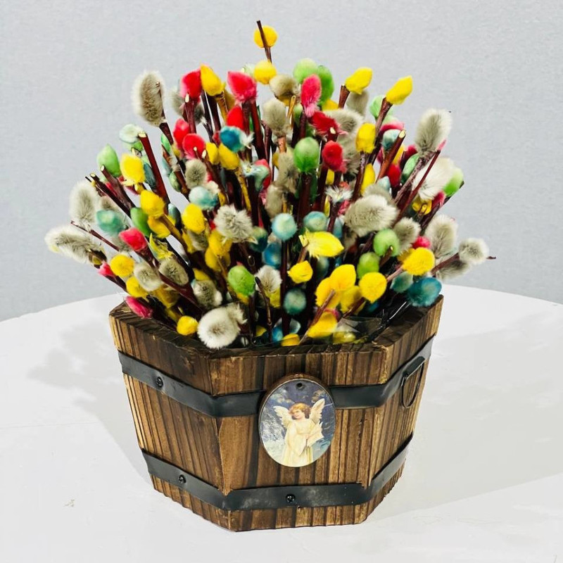 Multi-colored willow in a wooden pot, standart