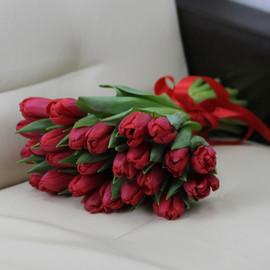 25 red tulips