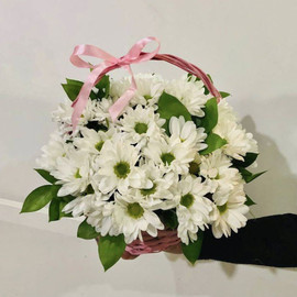 White daisies in a basket