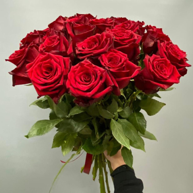 Red Roses 25 pieces, standart