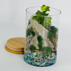 Флорариум мохариум экосистема в стеклянной колбе с искусственным водоёмом