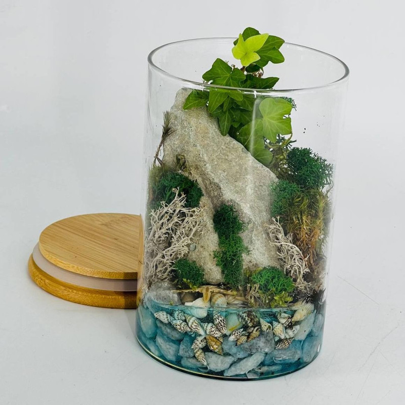 Florarium moharium ecosystem in a glass flask with an artificial pond, standart