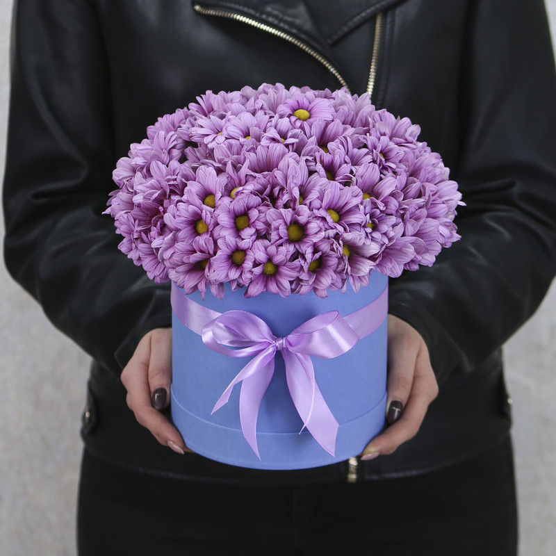 Pale lilac spray chrysanthemum in a blue box "Magic", standart