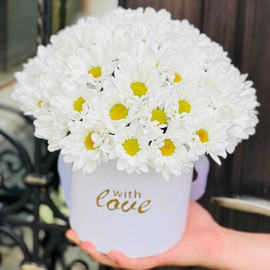 Bouquet of chamomile chrysanthemums