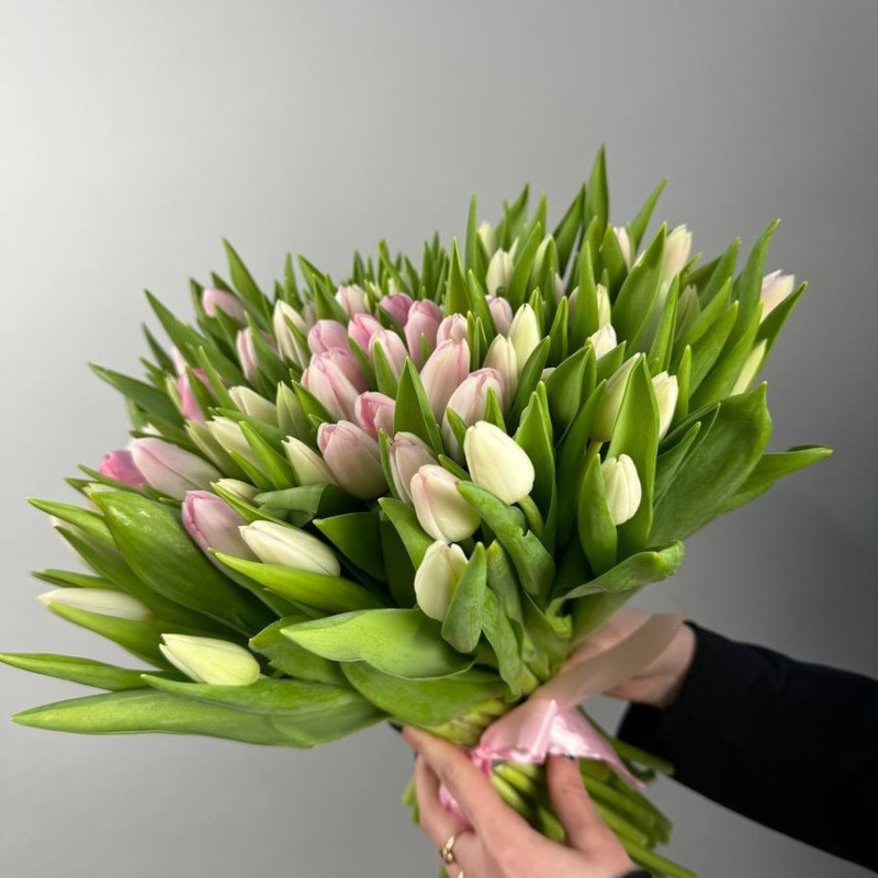 Bouquet of 101 pink tulips, standart