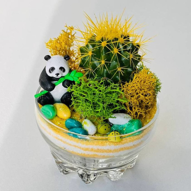 Mini florarium with cactus, standart