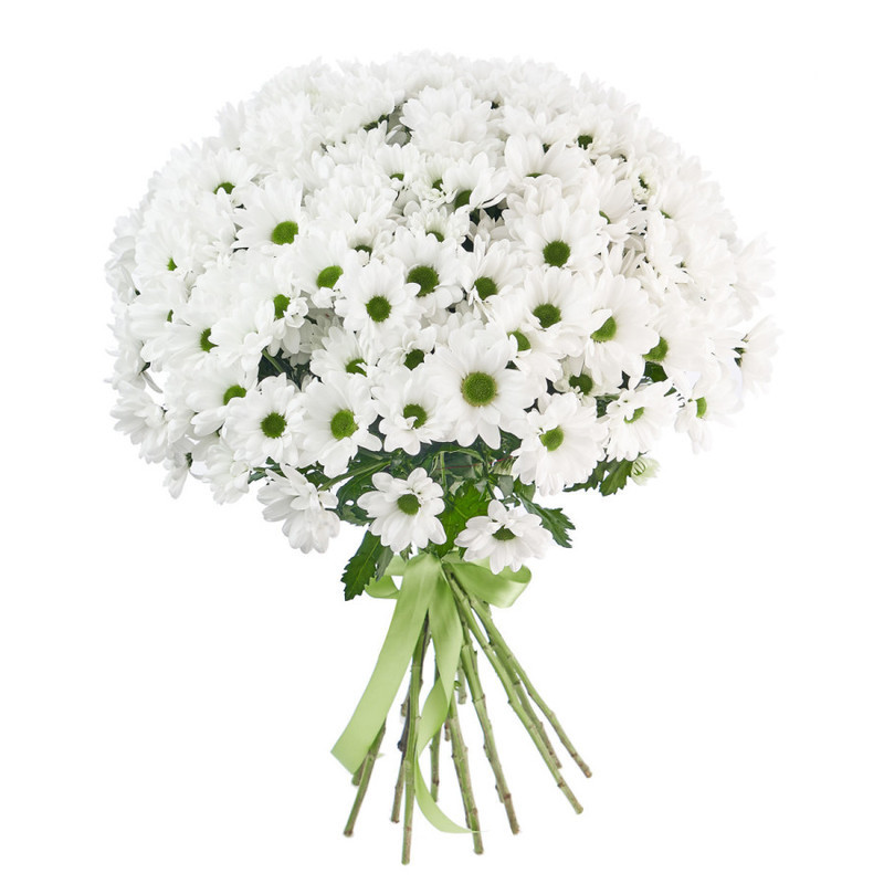 Bouquet of 25 white spray chrysanthemums, standart